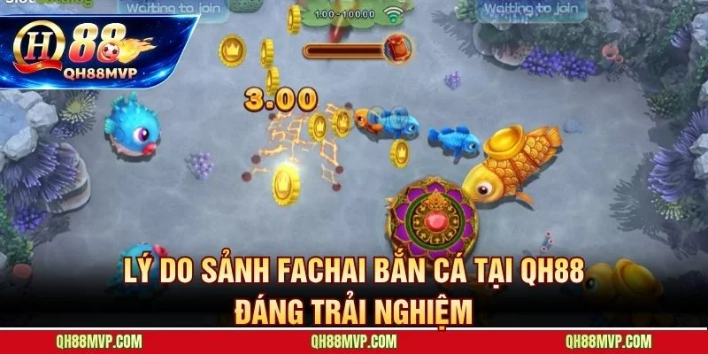 Nền tảng khai thác trọn vẹn sảnh FACHAI bắn cá với hoàn trả 1.5%