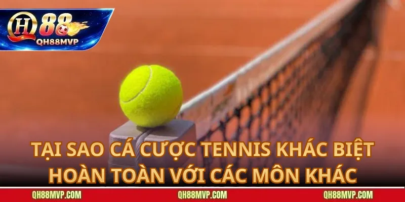 Tại Sao Cá Cược Tennis Khác Biệt Hoàn Toàn Với Các Môn Khác